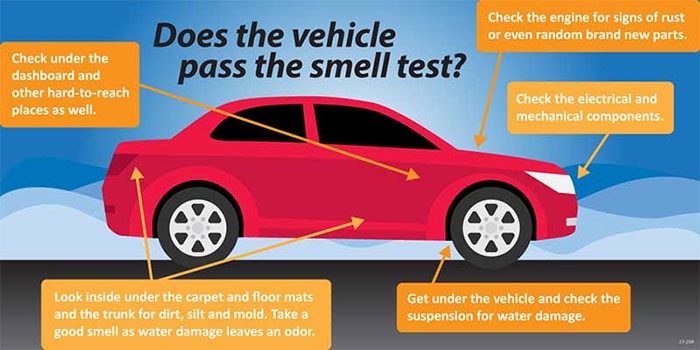 how to tell if a car was in a flood